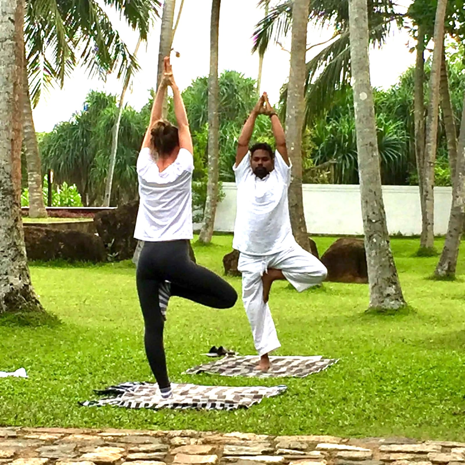 Tree Pose in Palm Grove